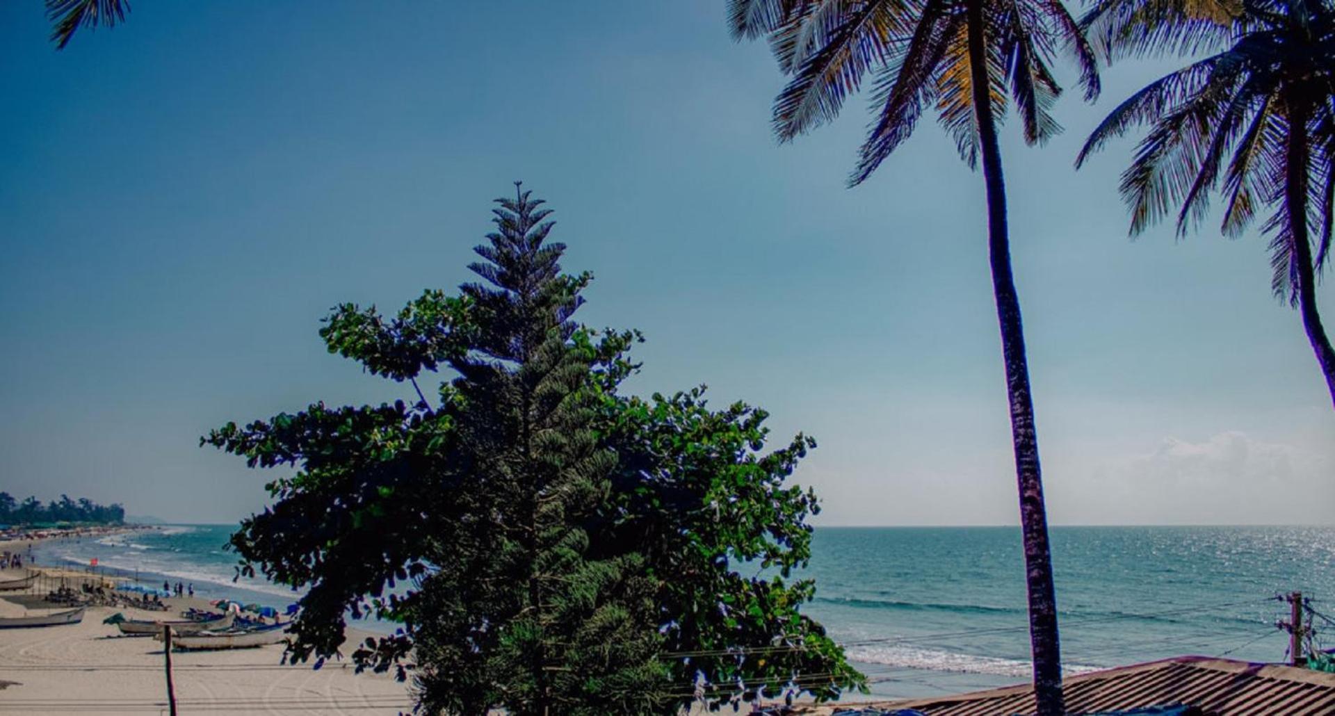 This Is It Beachfront - Rooms, Cafe & Events アランボル エクステリア 写真